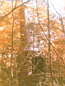 Wadena.jpg