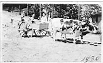 Image-124.jpg