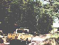 Image-03.jpg