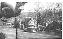 Image-157.jpg