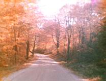 Image-163.jpg